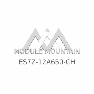 ECM - Ford (ES7Z-12A650-CH)