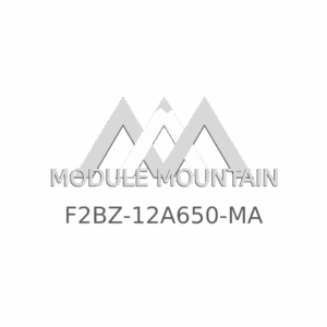 ECM - Ford (F2BZ-12A650-MA)