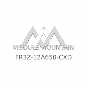 ECM - Ford (FR3Z-12A650-CXD)