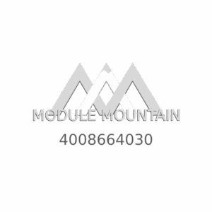 ABS Control Module- 4008664030